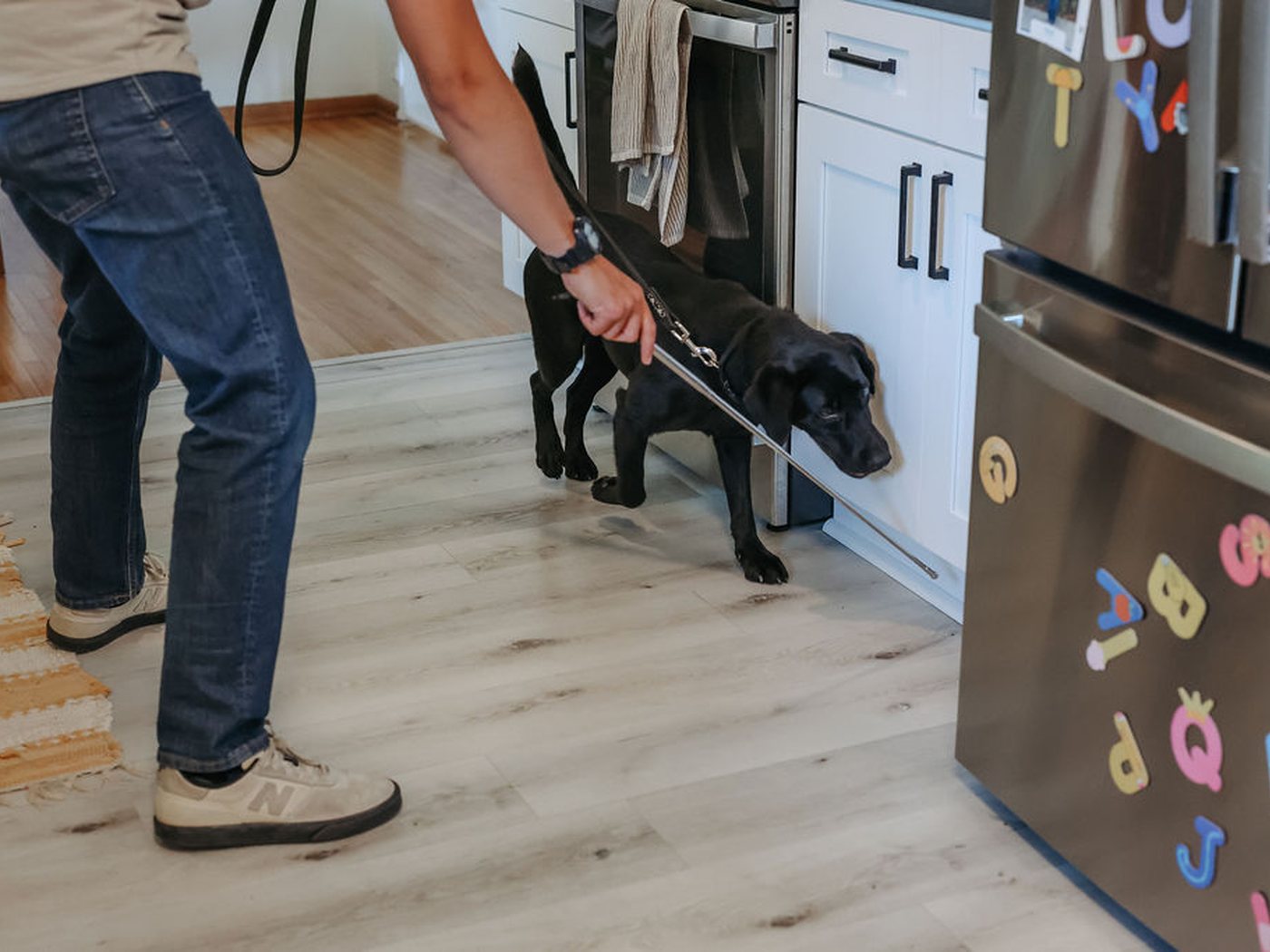 Ben directing Winnie to search the base of a refrigerator